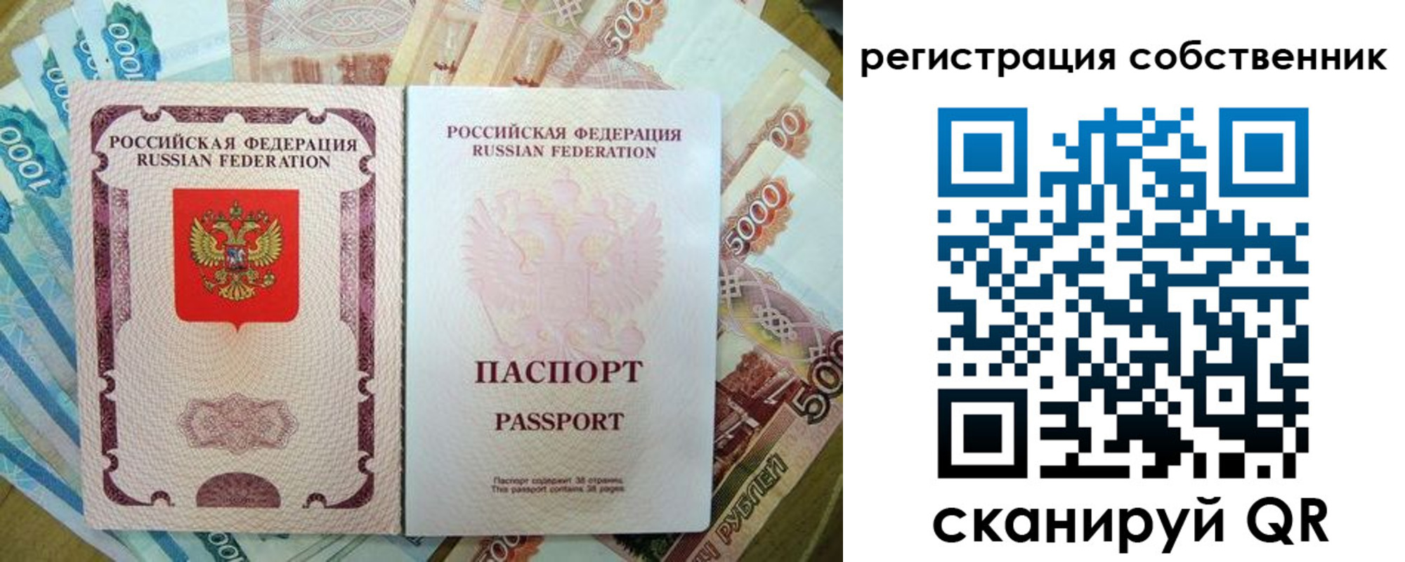 прописка гарантия в Краснозаводске